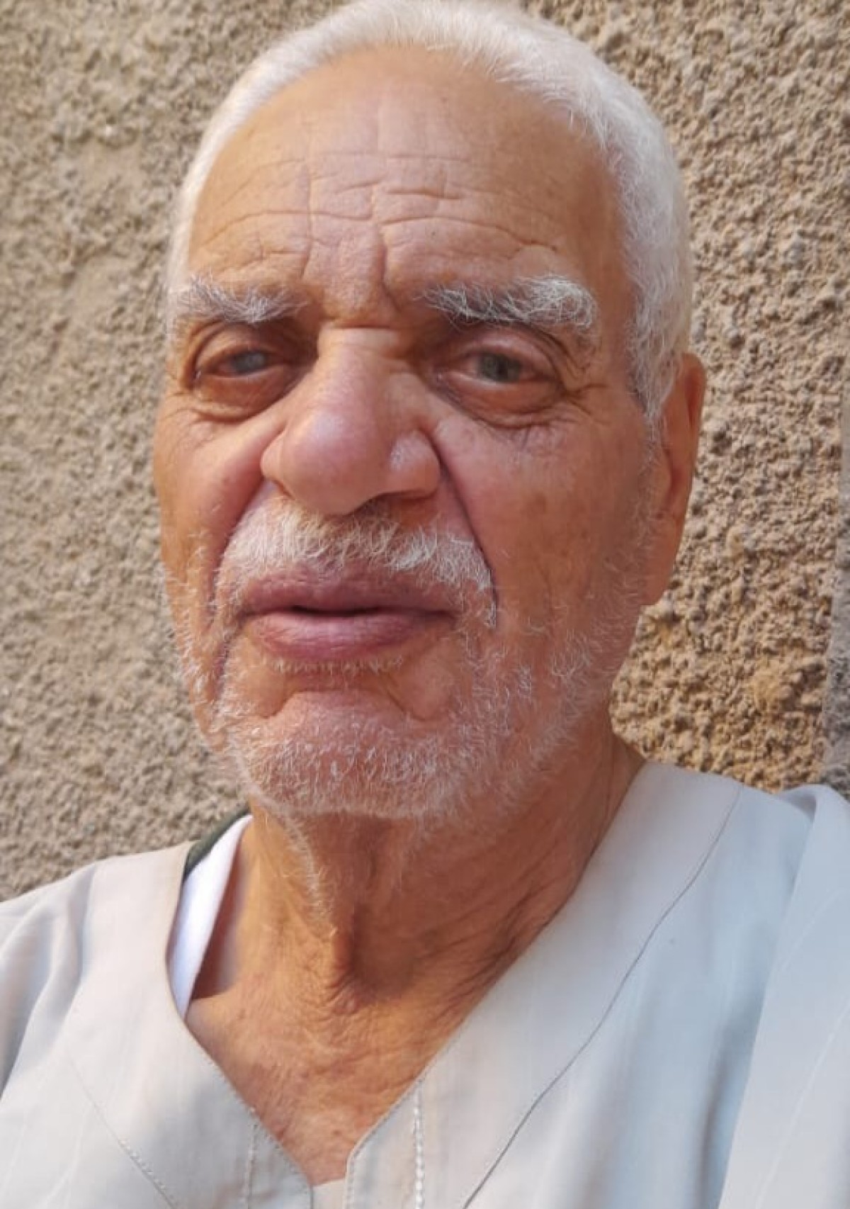 محمد أحمد مصطفى بقلولة